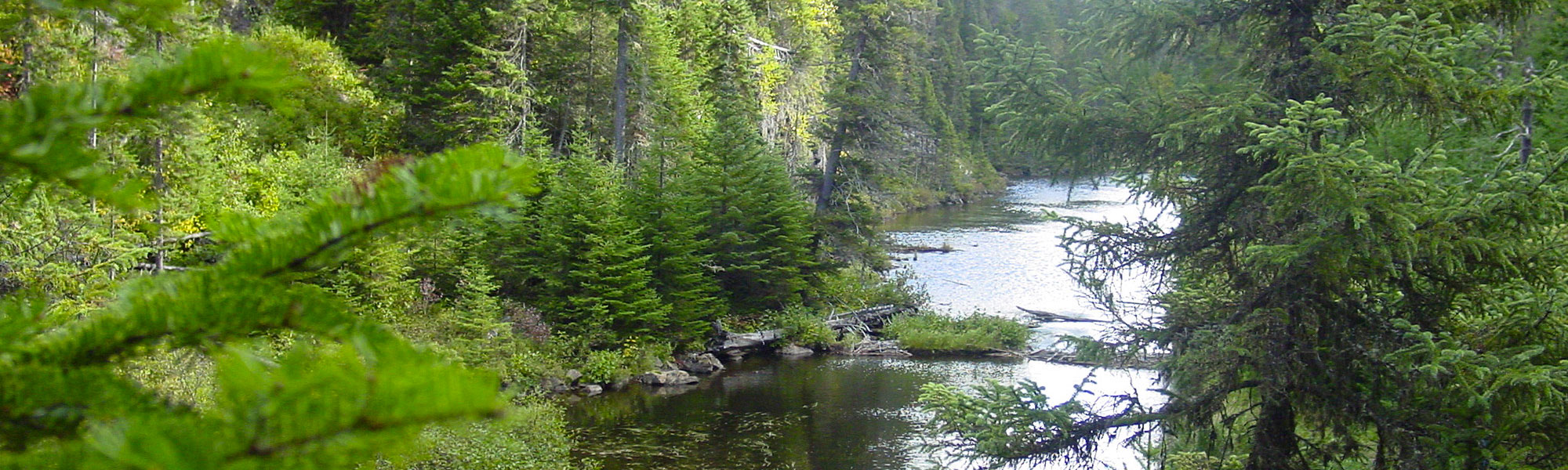 Une grande connaissance et un immense respect de la nature guident la gestion de la Pourvoirie. Afin de protéger l’authenticité de l’expérience ainsi que l’abondance et la qualité de la ressource, elle propose des quotas exemplaires de chasse et de pêche. De plus, aucun de ses 32 lacs n’est ensemencé, offrant une truite mouchetée à la chair tendre et goûteuse.